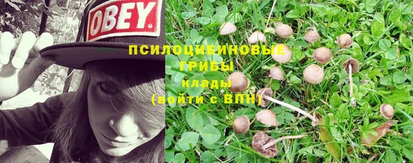 метадон Балабаново