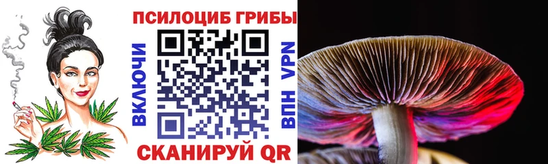 Купить где  Завитинск  Галлюциногенные грибы Psilocybine cubensis 